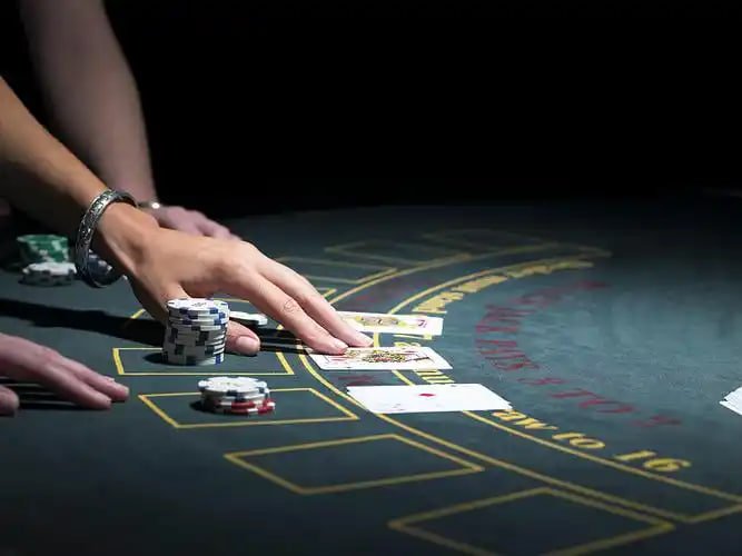 Panduan transaksi dora55 di layar ponsel